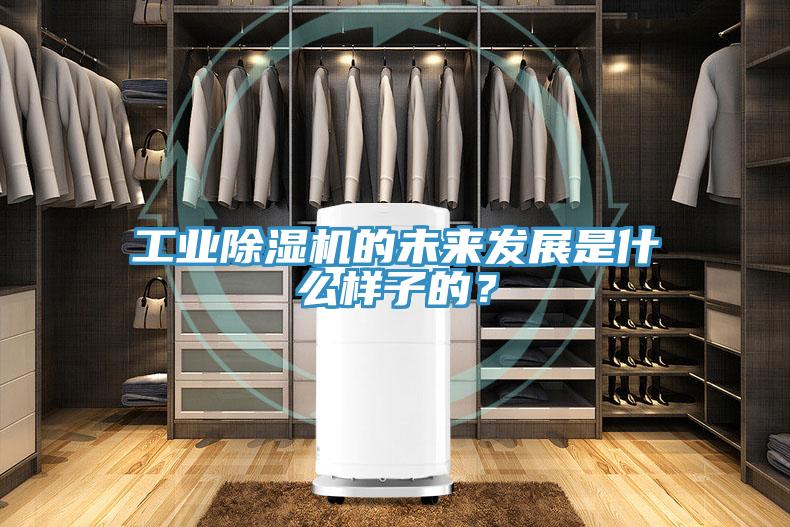 工业除湿机的未来发展是什么样子的？