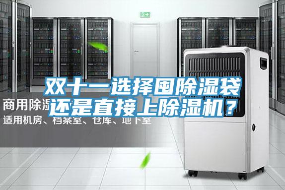 双十一选择囤除湿袋还是直接上除湿机？