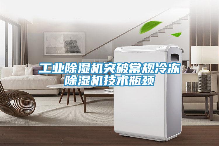 工业除湿机突破常规冷冻除湿机技术瓶颈