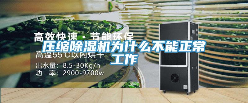 压缩除湿机为什么不能正常工作