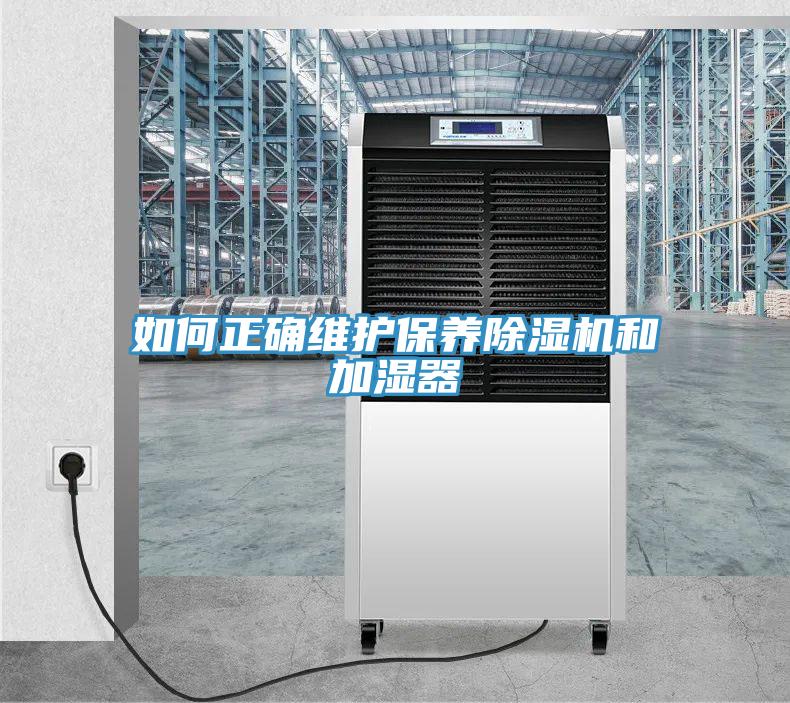 如何正确维护保养除湿机和加湿器