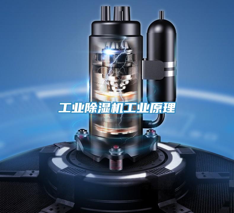 工业除湿机工业原理