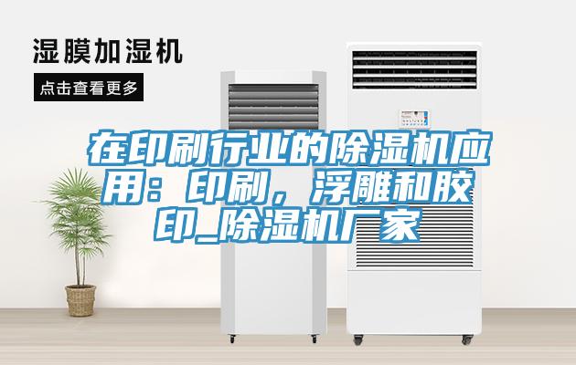 在印刷行业的除湿机应用：印刷，浮雕和胶印_除湿机厂家