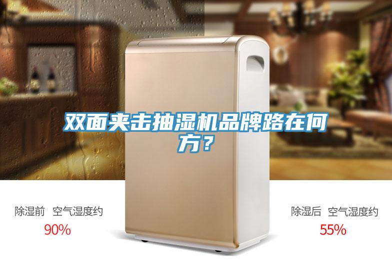 双面夹击抽湿机品牌路在何方？