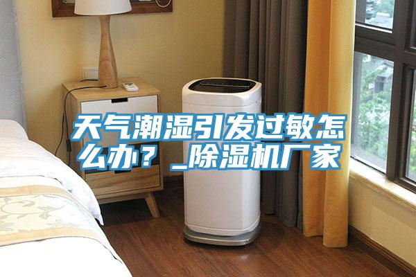 天气潮湿引发过敏怎么办？_除湿机厂家