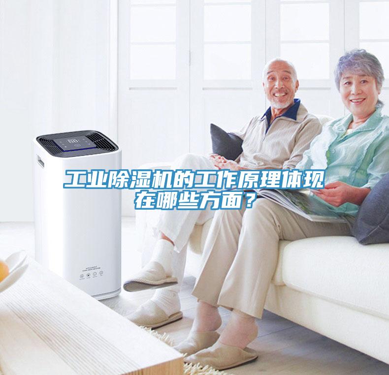 工业除湿机的工作原理体现在哪些方面？