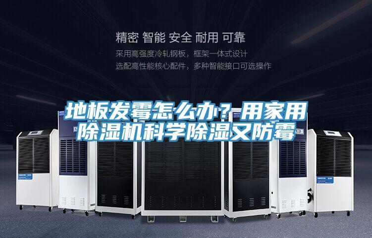 地板发霉怎么办？用家用除湿机科学除湿又防霉