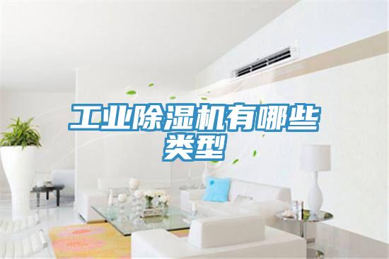 工业除湿机有哪些类型
