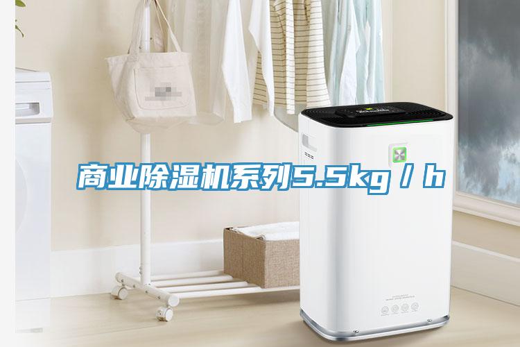 商业除湿机系列5.5kg／h
