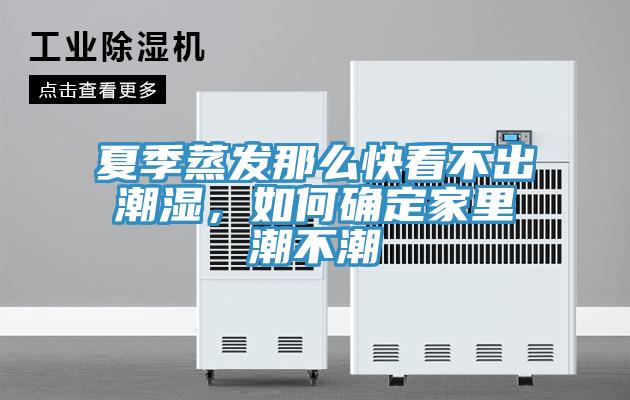 夏季蒸发那么快看不出潮湿，如何确定家里潮不潮