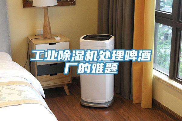 工业除湿机处理啤酒厂的难题