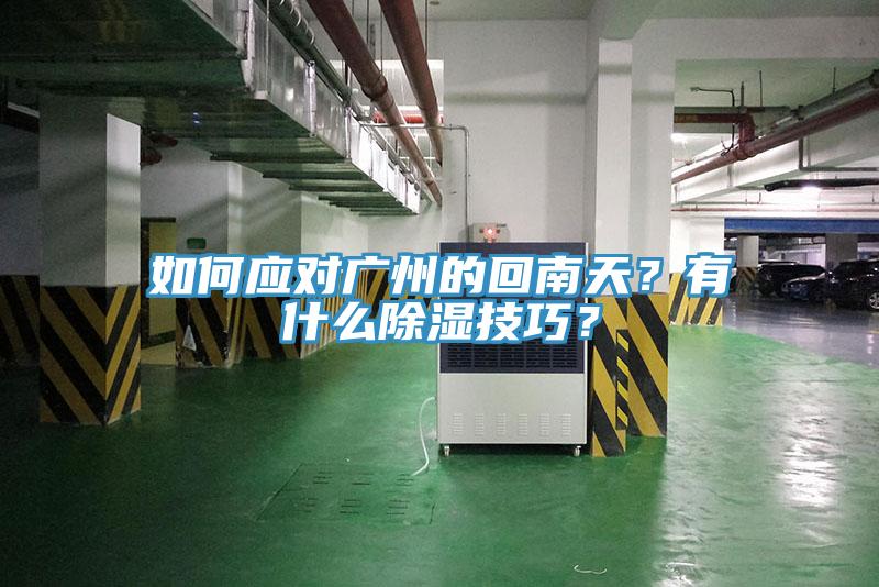 如何应对广州的回南天？有什么除湿技巧？