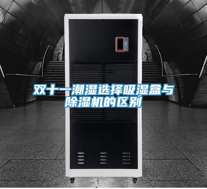 双十一潮湿选择吸湿盒与除湿机的区别