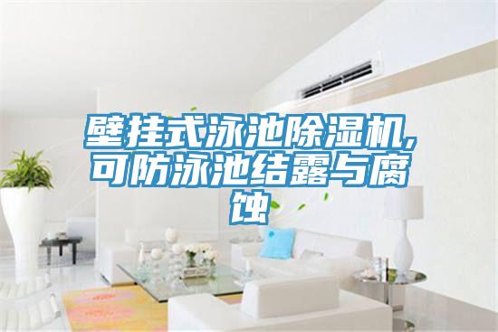 壁挂式泳池除湿机,可防泳池结露与腐蚀