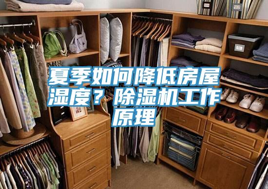 夏季如何降低房屋湿度？除湿机工作原理