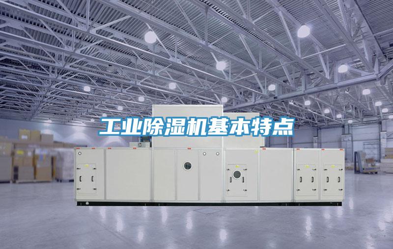 工业除湿机基本特点