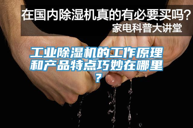 工业除湿机的工作原理和产品特点巧妙在哪里？