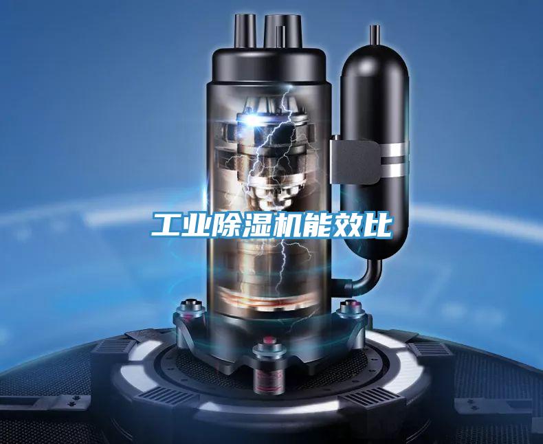 工业除湿机能效比
