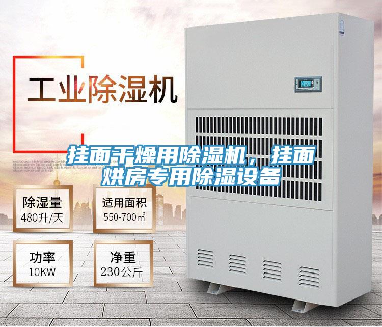 挂面干燥用除湿机，挂面烘房专用除湿设备