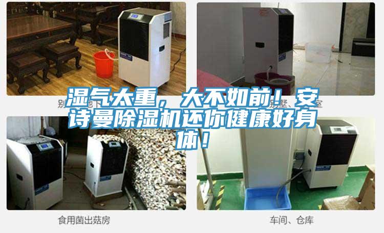 湿气太重，大不如前！安诗曼除湿机还你健康好身体！