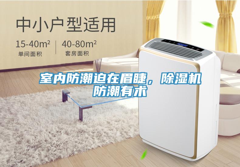室内防潮迫在眉睫，除湿机防潮有术