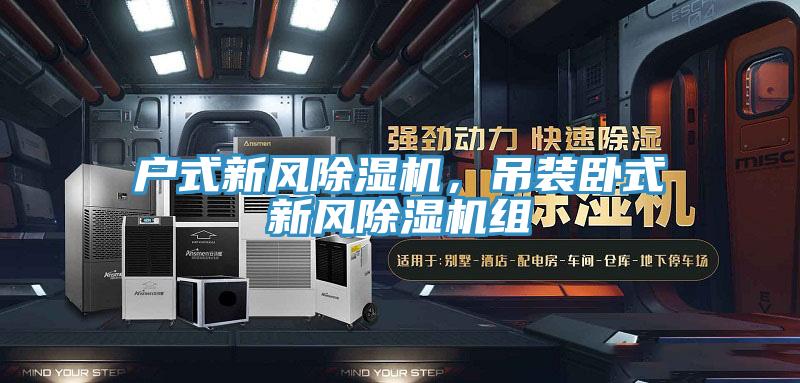 户式新风除湿机，吊装卧式新风除湿机组