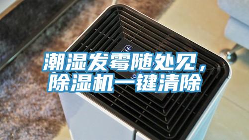 潮湿发霉随处见，除湿机一键清除
