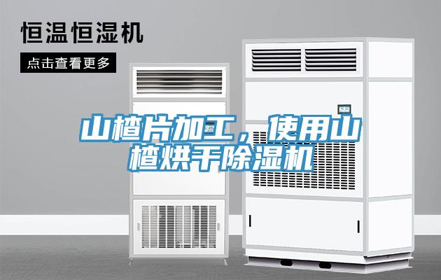山楂片加工，使用山楂烘干除湿机