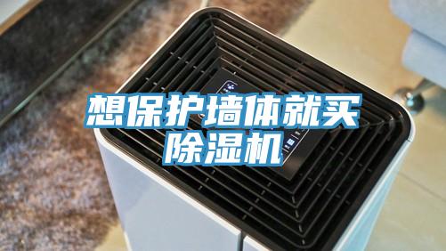 想保护墙体就买除湿机