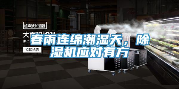 春雨连绵潮湿天，除湿机应对有方