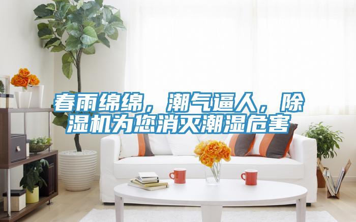 春雨绵绵，潮气逼人，除湿机为您消灭潮湿危害
