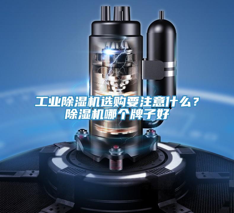 工业除湿机选购要注意什么？除湿机哪个牌子好