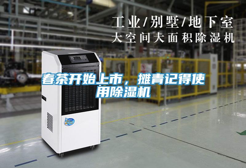 春茶开始上市，摊青记得使用除湿机
