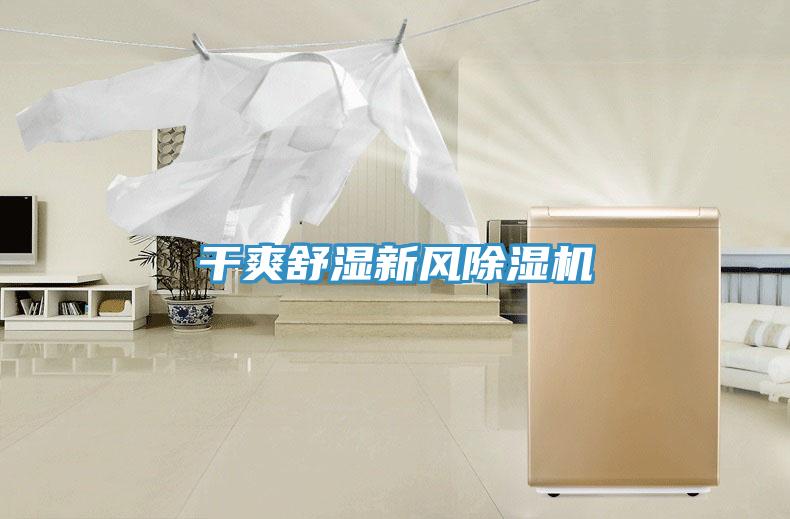 干爽舒湿新风除湿机