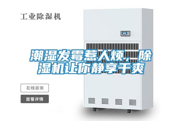 潮湿发霉惹人烦，除湿机让你静享干爽