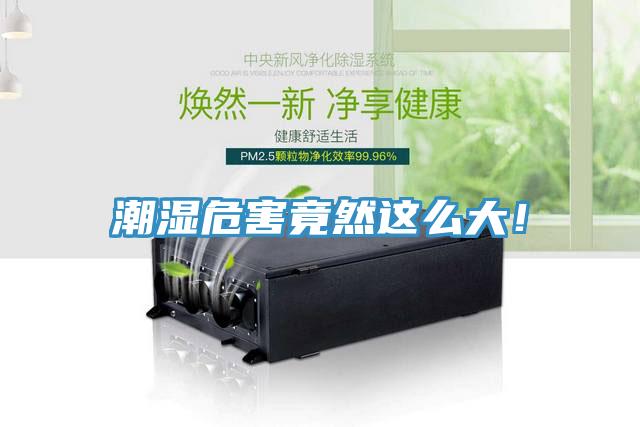 潮湿危害竟然这么大！