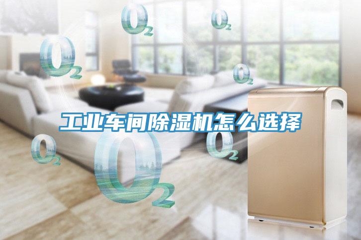 工业车间除湿机怎么选择