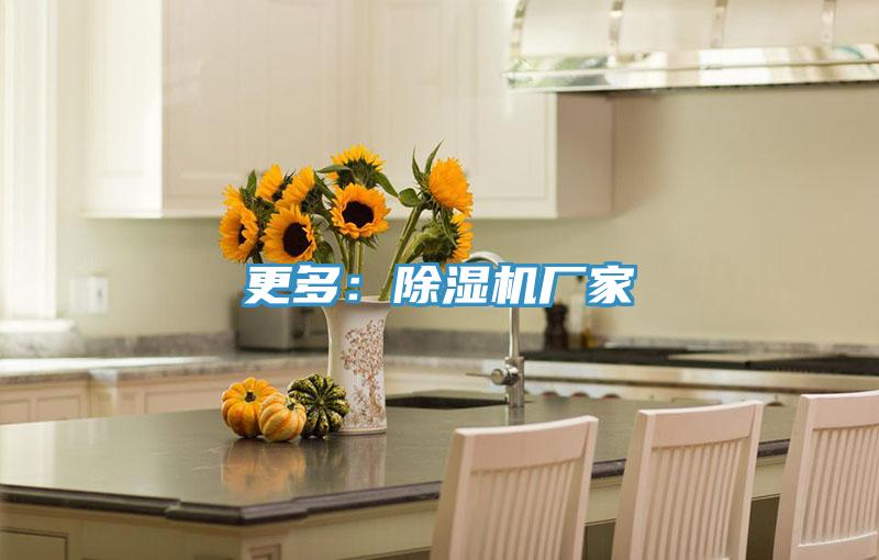 更多：除湿机厂家