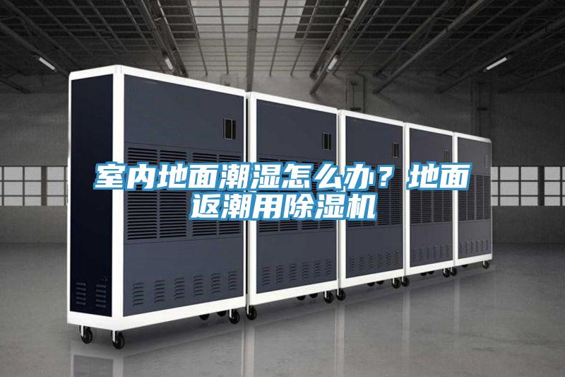 室内地面潮湿怎么办？地面返潮用除湿机