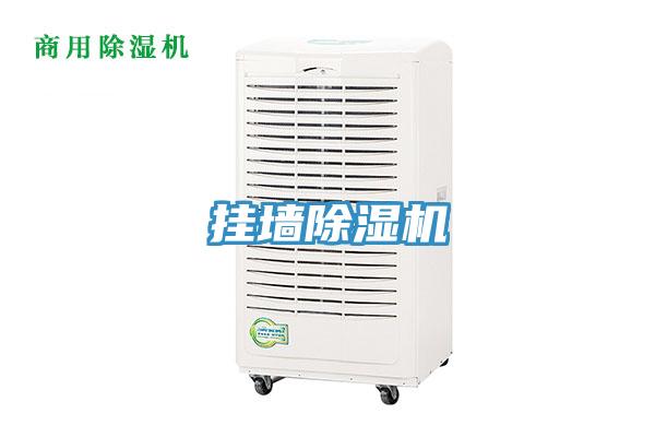挂墙除湿机