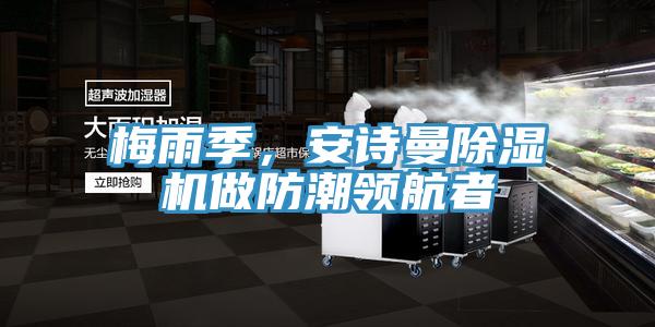 梅雨季，安诗曼除湿机做防潮领航者
