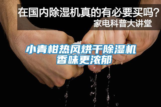 小青柑热风烘干除湿机 香味更浓郁