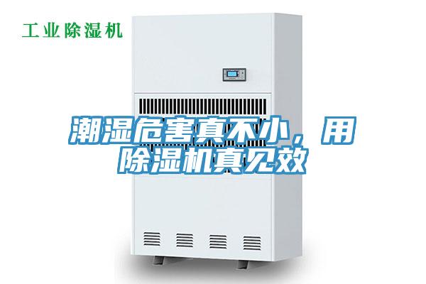 潮湿危害真不小，用除湿机真见效