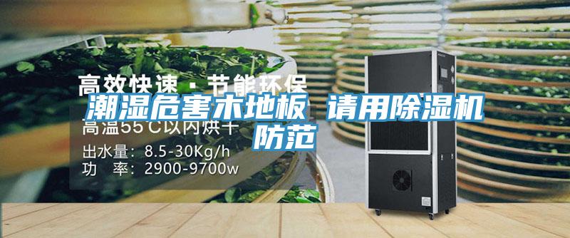 潮湿危害木地板 请用除湿机防范
