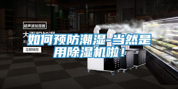 如何预防潮湿-当然是用除湿机啦！