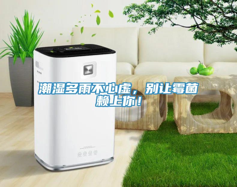 潮湿多雨不心虚，别让霉菌赖上你！