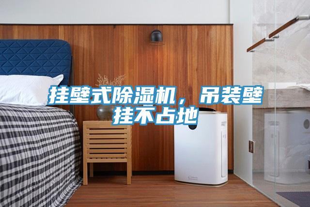 挂壁式除湿机，吊装壁挂不占地
