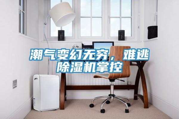 潮气变幻无穷，难逃除湿机掌控
