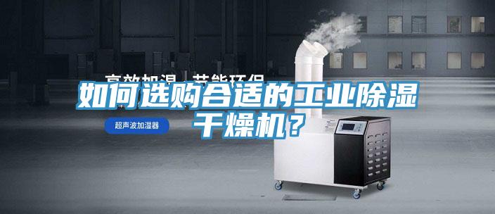 如何选购合适的工业除湿干燥机？