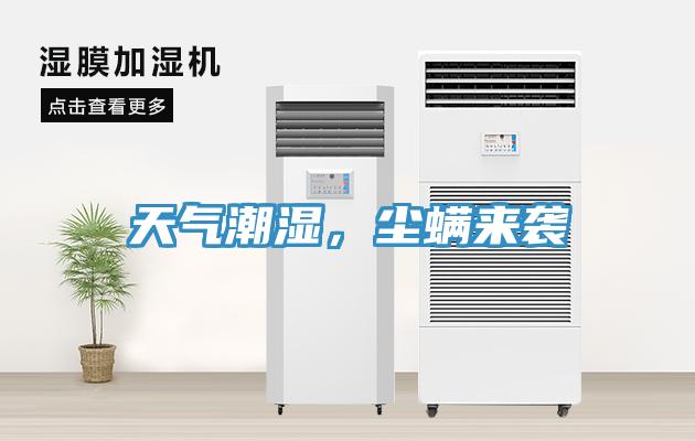 天气潮湿，尘螨来袭